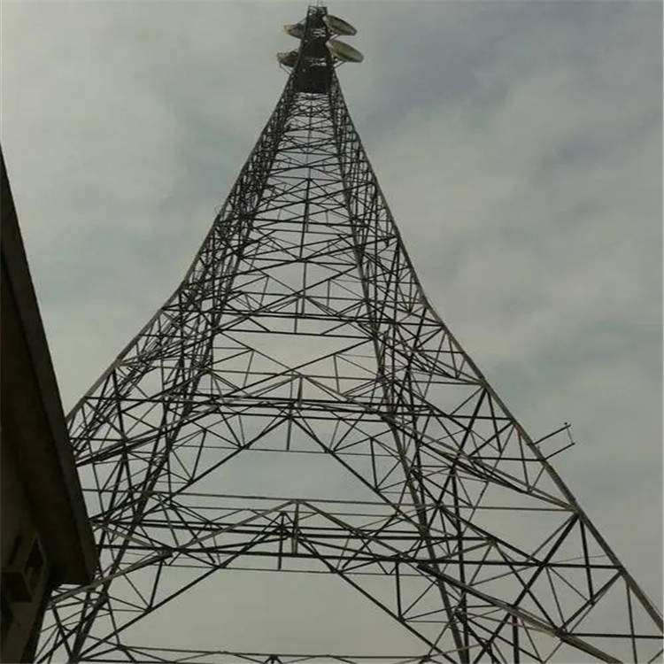 u=486408077,3878882621&fm=26&fmt=auto.webp_副本.jpg
